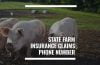 state farm insurance claims phone number
