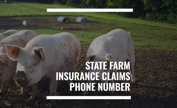 state farm insurance claims phone number