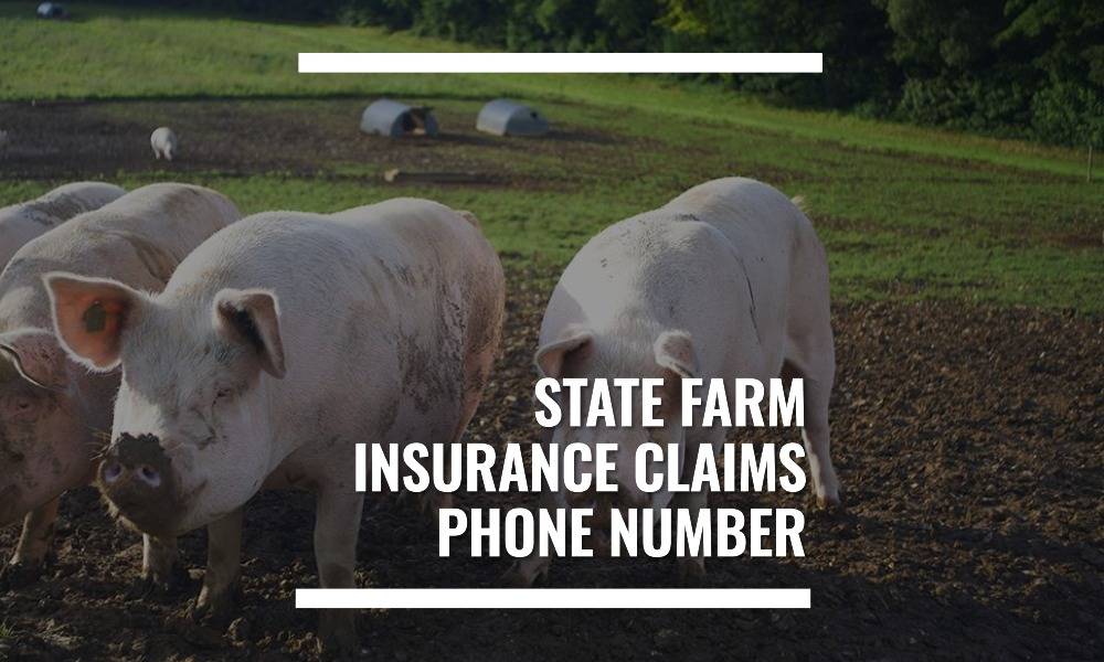 state-farm-insurance-claims-phone-number-bmtscorp