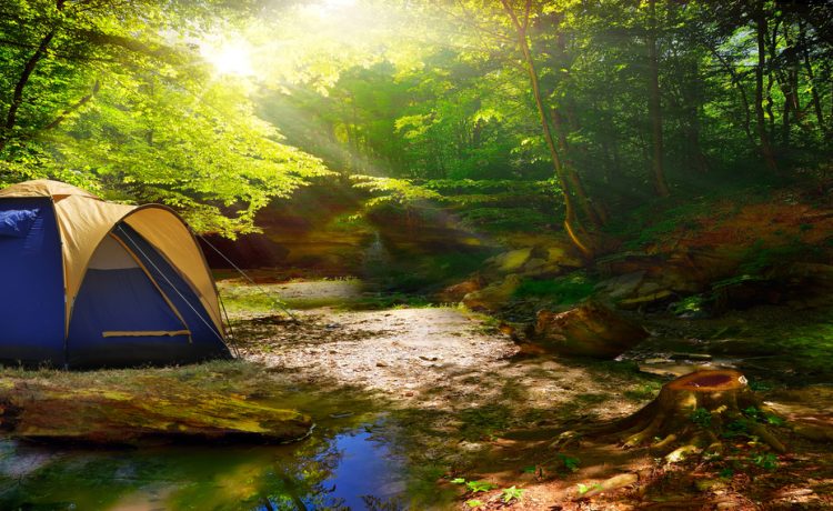 The Best Camping Spots in Ohio for Every Season