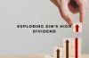 why is zim dividend so high