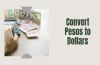 100 pesos to dollars