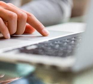 Florida department of state division of corporations search