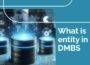 what is entity in dbms