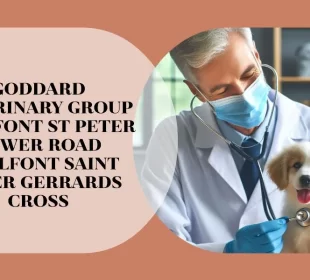 goddard veterinary group chalfont st peter lower road chalfont saint peter gerrards cross
