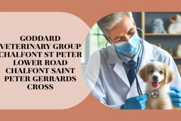 goddard veterinary group chalfont st peter lower road chalfont saint peter gerrards cross