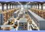Right Storage Business for Your Needs