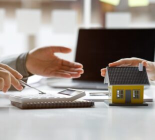 pedrovazpaulo real estate investment