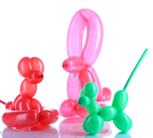 Balloon Sculpting