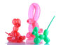 Balloon Sculpting