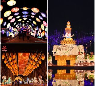 Eisenhower Park Light Show