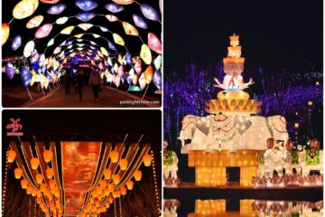 Eisenhower Park Light Show